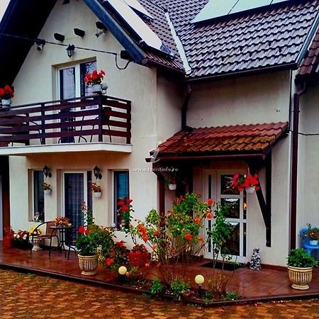 Апартаменты Edelweiss Ilinca Зэрнешти Экстерьер фото