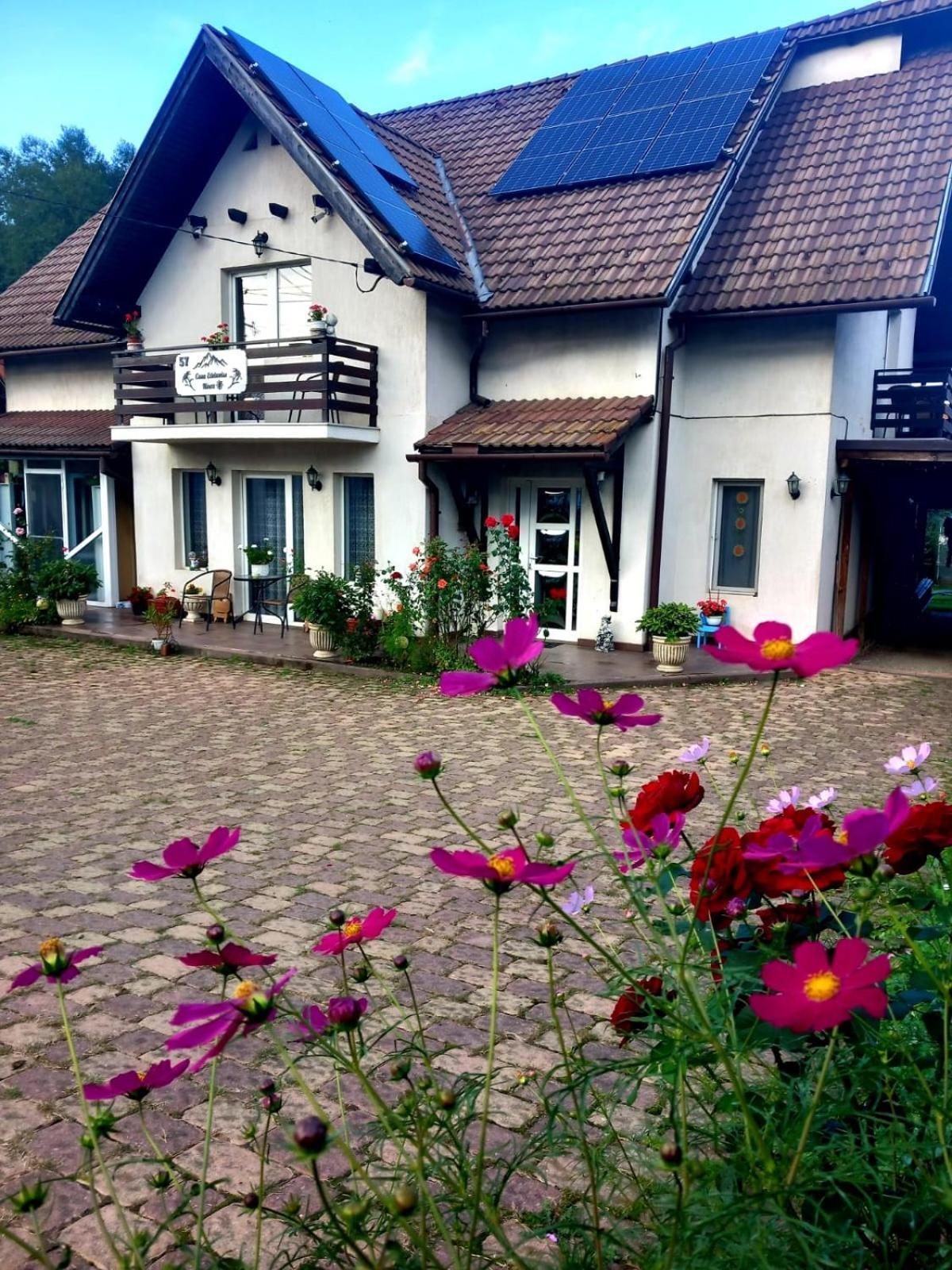 Апартаменты Edelweiss Ilinca Зэрнешти Экстерьер фото